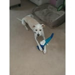 Image 3 of customer photos