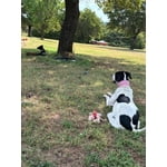 Image 6 of customer photos