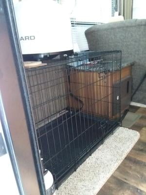 vibrant life two door dog training crate