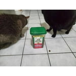 Image 4 of customer photos