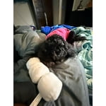 Image 3 of customer photos