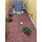 Image 9 of customer photos