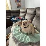 Image 4 of customer photos