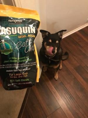 dasuquin for dogs walmart
