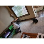 Image 6 of customer photos