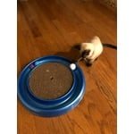 Image 6 of customer photos