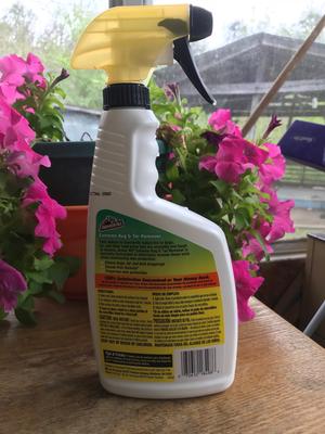 Armor All® Extreme Bug and Tar Remover, 16 fl oz - Harris Teeter