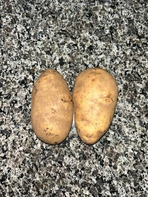 Jumbo Russet Potatoes Whole Fresh, 8 lb Bag - Walmart.com