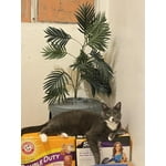 Image 5 of customer photos