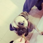 Image 2 of customer photos