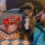 Image 2 of customer photos