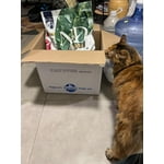 Imagen 1 de las fotos del cliente