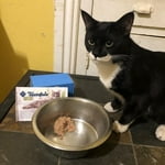 Image 7 of customer photos