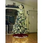 Image 7 of customer photos