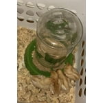 Image 5 of customer photos