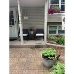 Image 4 of customer photos