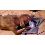 Image 4 of customer photos