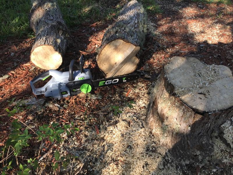 PROBLEMS With The EGO Pole Saw MPS1001 [Review 2023], 56 OFF