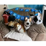 Image 2 of customer photos