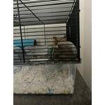 Image 7 of customer photos