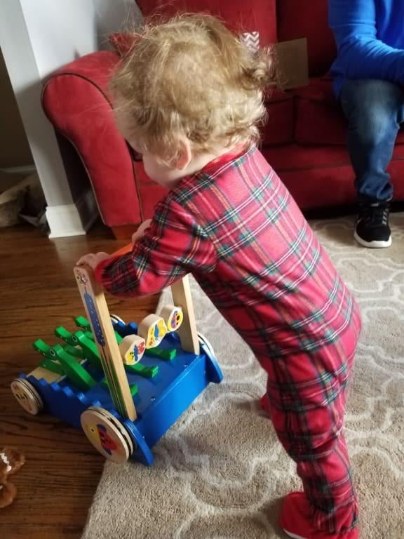 chomp & clack alligator push toy