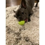 Image 7 of customer photos