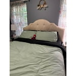Image 1 of customer photos