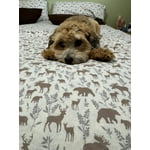 Image 1 of customer photos