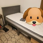 Image 3 of customer photos