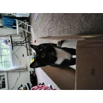 Image 6 of customer photos