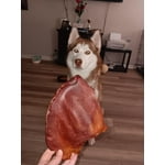 Image 5 of customer photos