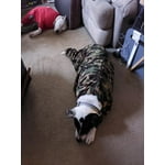 Image 4 of customer photos