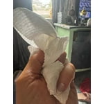 Image 5 of customer photos