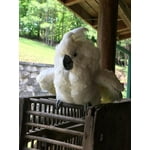 Image 2 of customer photos