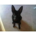 Image 5 of customer photos