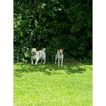 Image 7 of customer photos