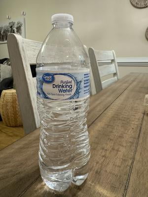 Great Value Purified Drinking Water 16.9 Fl Oz 40 Count, Easy to Transport  and Sip - Walmart.com