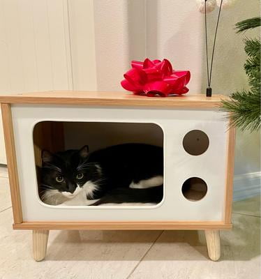 No.3 stimpy the catテレビボード／コーナー用／送料無料！ 81jMPhoFiDL._UF350,350_QL50_.jpg