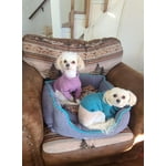 Image 2 of customer photos