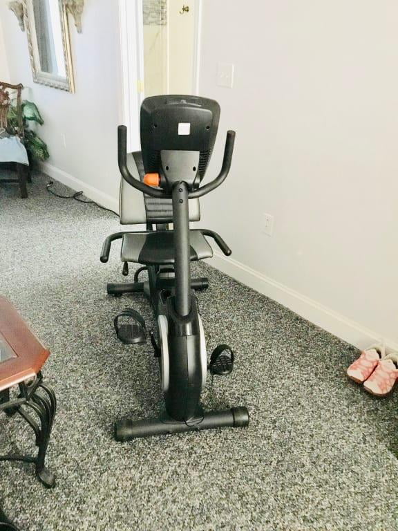 Nordictrack GX 4.7 Recumbent Exercise 