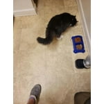 Image 3 of customer photos