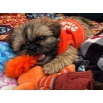 Image 2 of customer photos