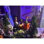 Image 2 of customer photos