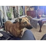 Image 6 of customer photos