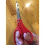 Image 6 of customer photos