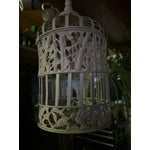 Image 7 of customer photos