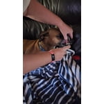 Image 7 of customer photos