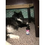 Image 5 of customer photos