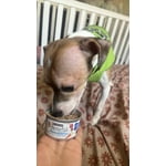 Image 7 of customer photos