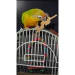 Image 3 of customer photos